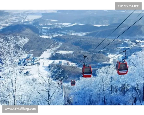 哈尔滨亚布力滑雪场完成智能化升级 将成为八项雪上赛事主办地 哈尔滨亚布力滑雪场完成智能化升级 将成为八项雪上赛事主办地